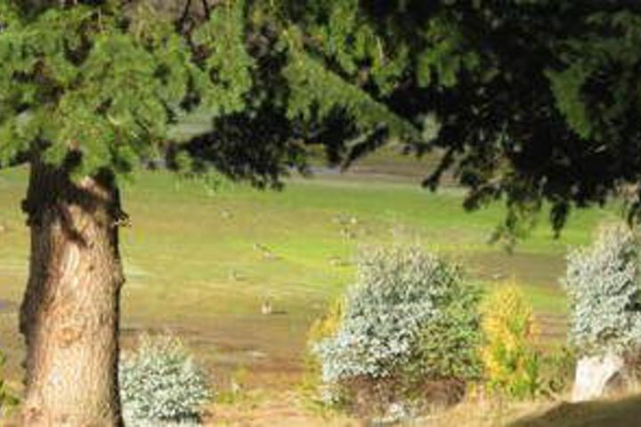 Property Grounds 28 of 30