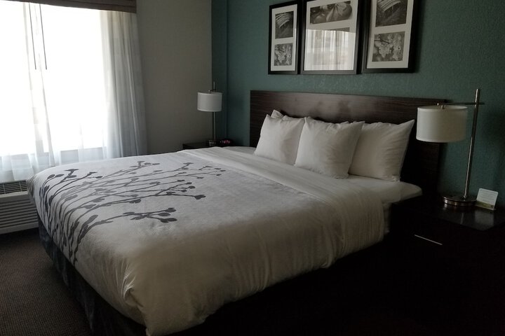 1 King Bed Mobility Accessible (20 of 29)