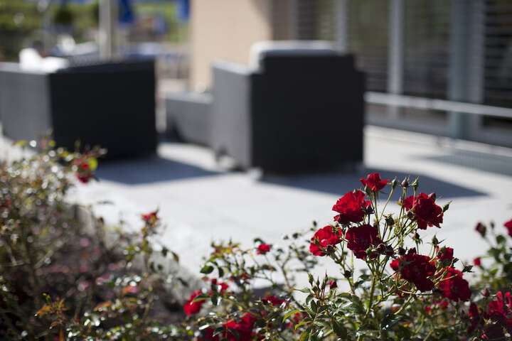 Sundeck 41 of 48