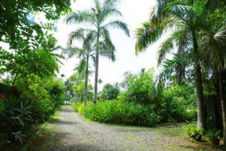 Property Grounds 25 of 28