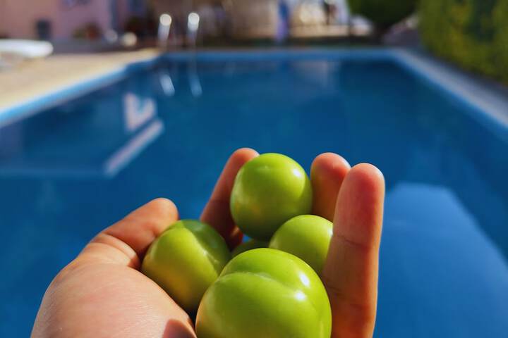 Pool 17 of 47