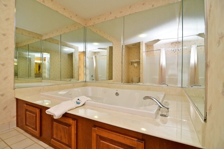 1 King Bed Accessible Bathtub (9 of 10)