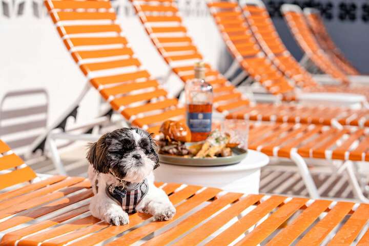 Pet Friendly 106 of 131