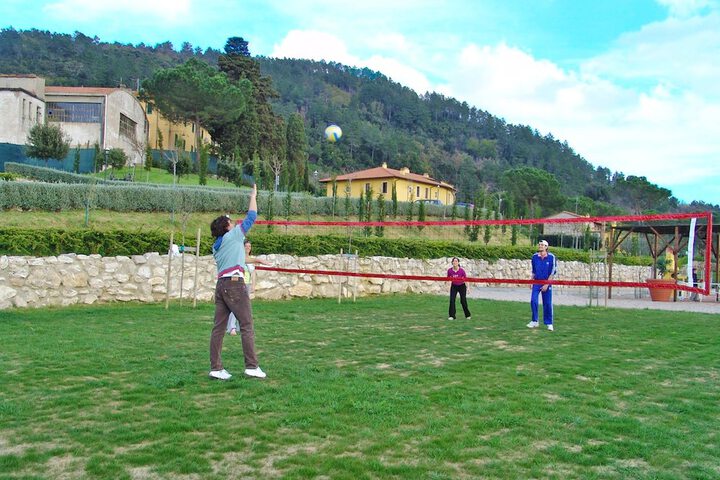 Sport court
