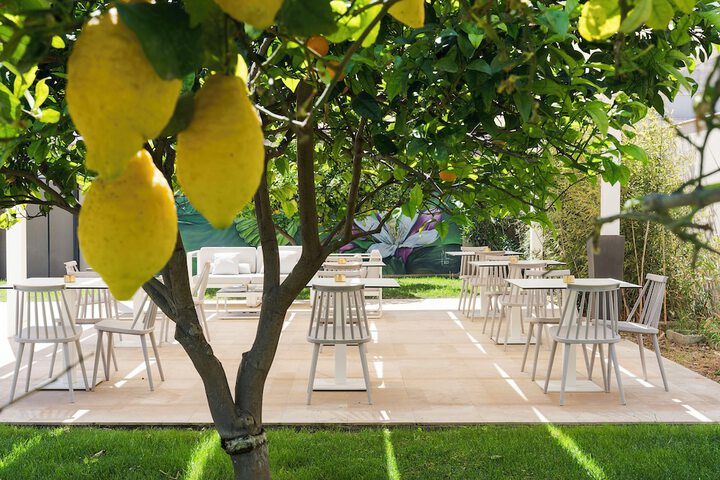 Terrace/Patio 56 of 101