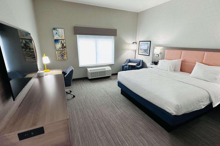 1 King Hearing Accessible Studio with Sofa Bed (36 of 41)