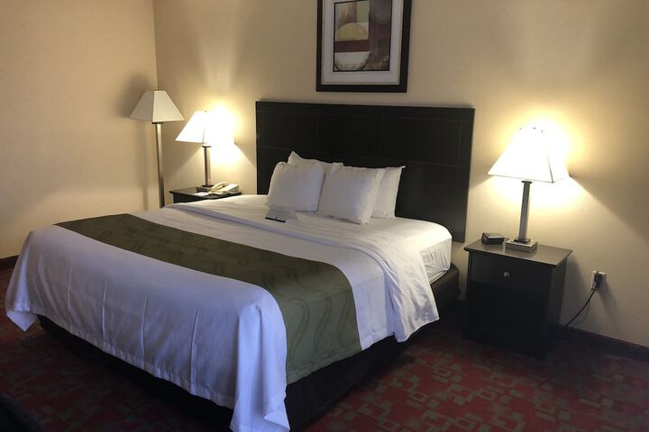 1 King Bed (6 of 10)