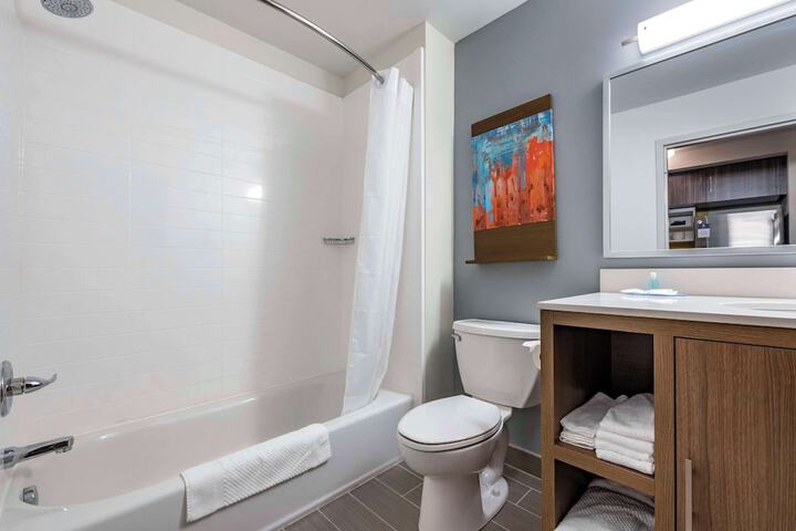 1 King Bed Suite (1 of 11)