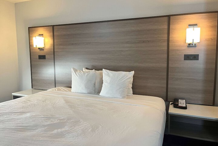 1 King Bed Studio Suite (15 of 20)