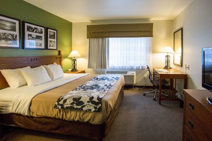 1 King Bed Suite (7 of 9)