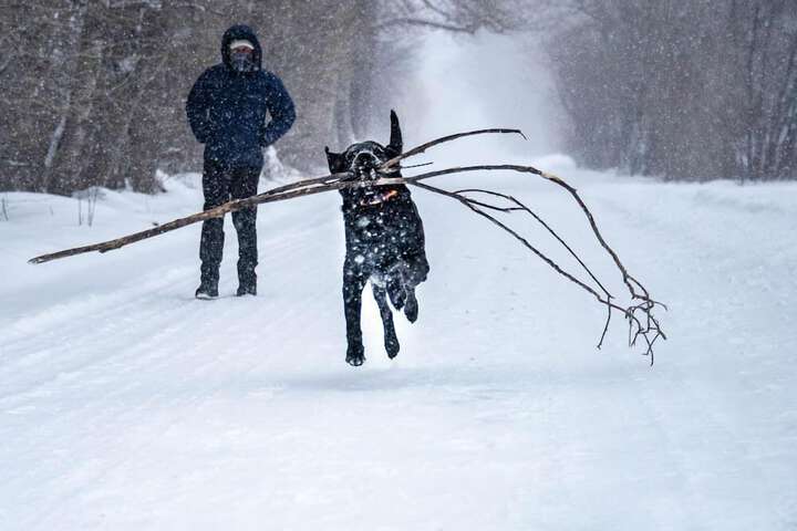 Pet Friendly 50 of 88