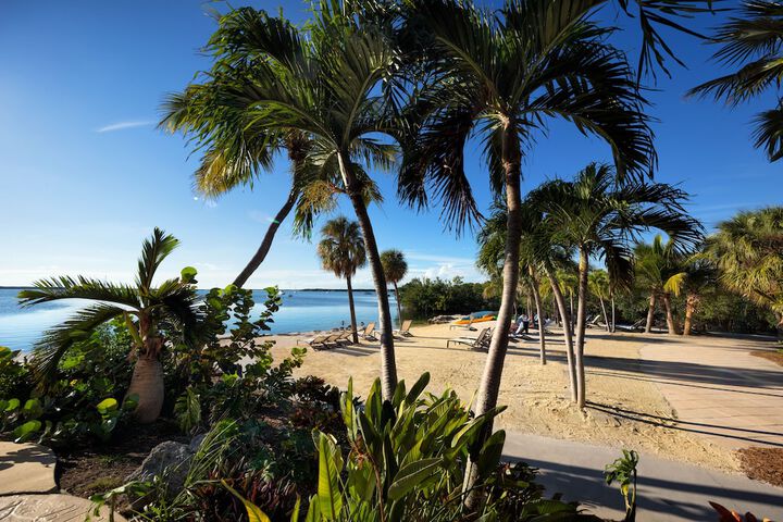 Beach 54 of 56