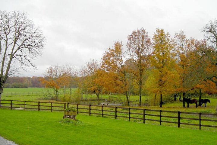 Property Grounds 30 of 35