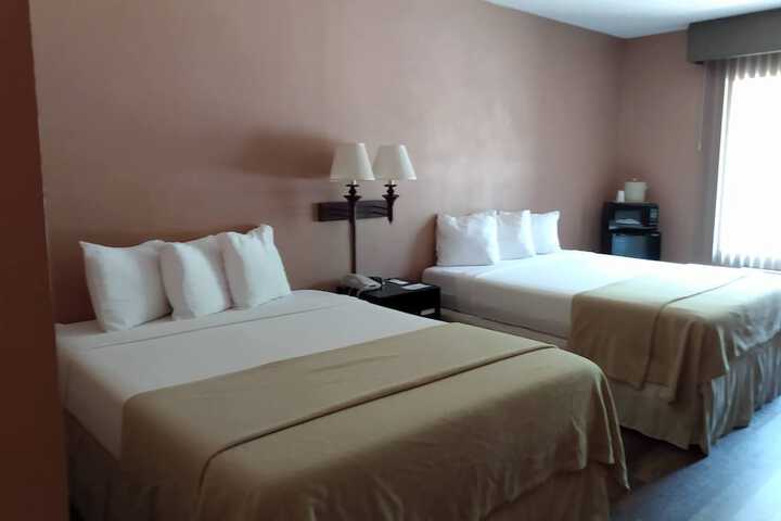 Basic Single Room 2 Double Beds (2 of 7)