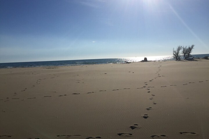 Beach 65 of 68