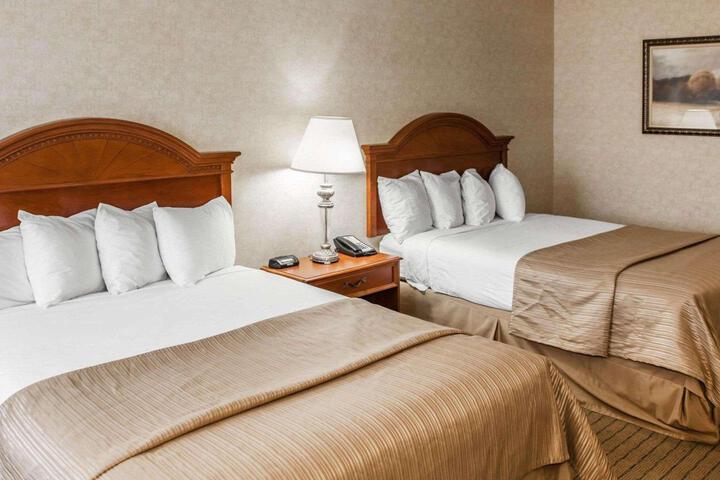2 Queen Beds (7 of 9)