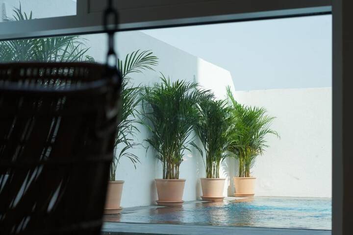 Pool 38 of 65
