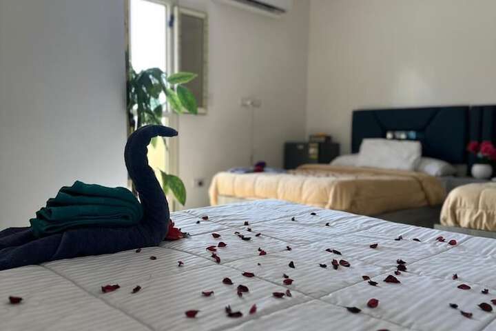 Room 37 of 44