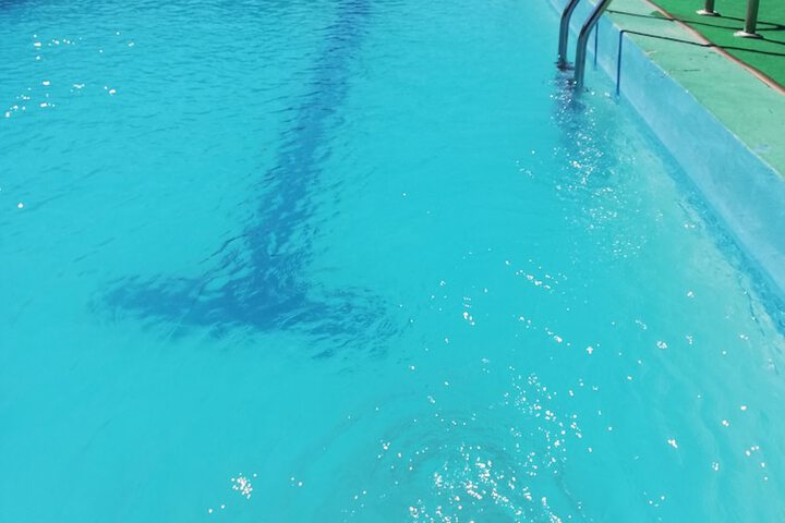 Pools & Facilities