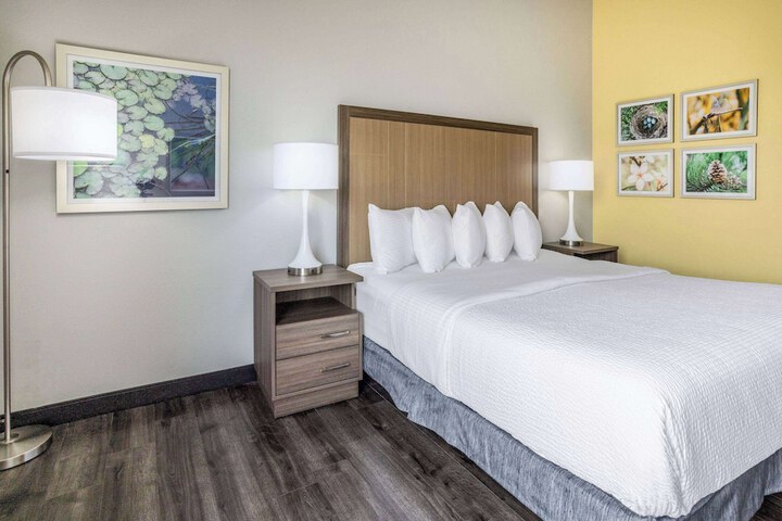 1 King Bed Mobility Hearing Accessible Room Roll in Shower (12 of 26)