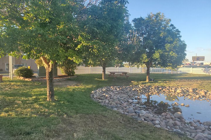 BBQ/picnic area
