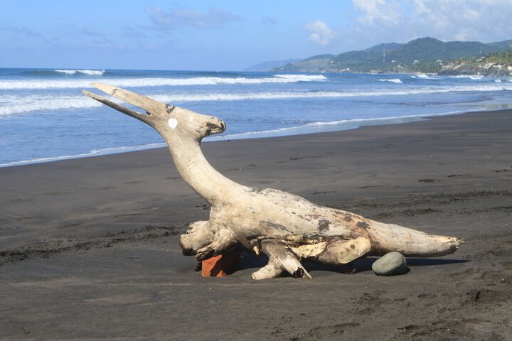 Beach 49 of 79