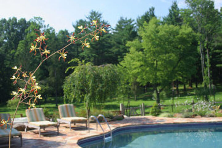 Pool 50 of 62