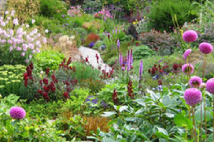 Spa and Wellness Pictures