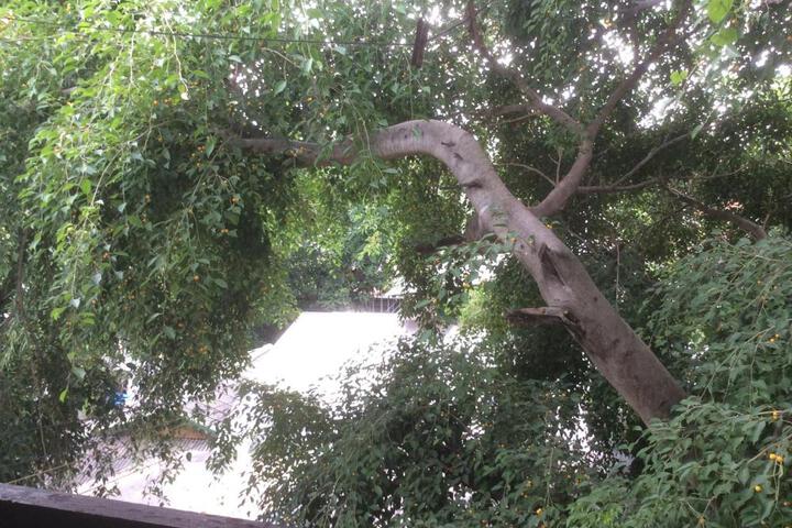 Photo 28