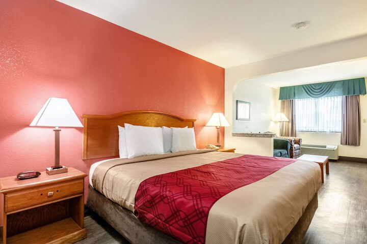 1 King Bed Suite (5 of 22)