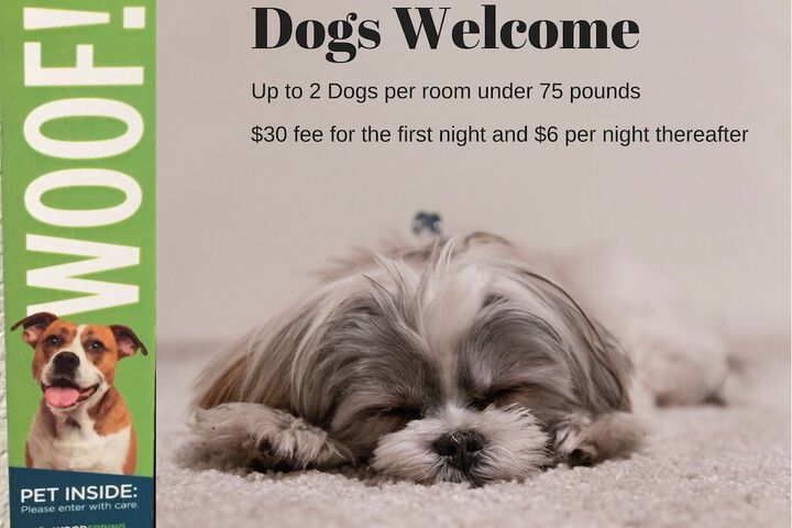 Pet-friendly