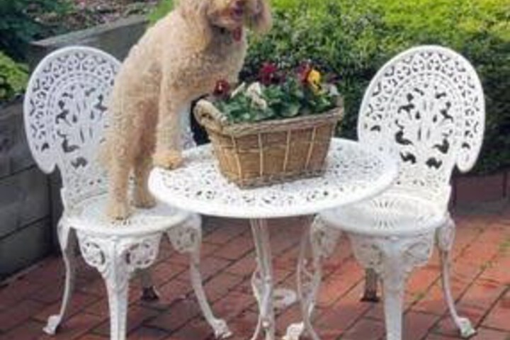 Hotel Exterior 17 of 23