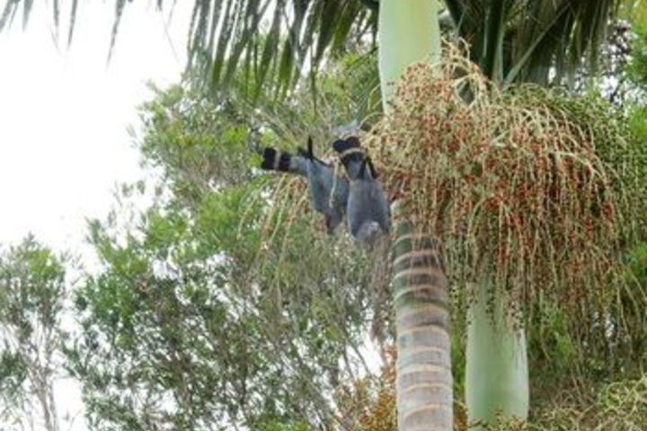 Property Grounds 46 of 63