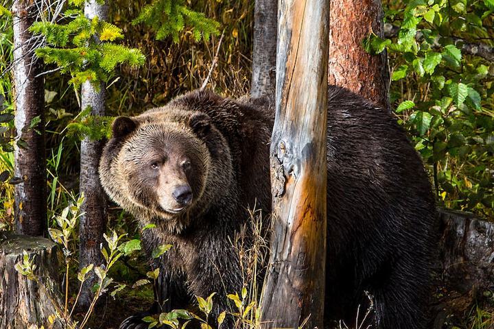 Outdoor Activities 10 of 16