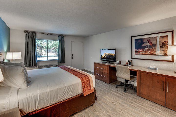 Standard Single King Bed (4 of 9)