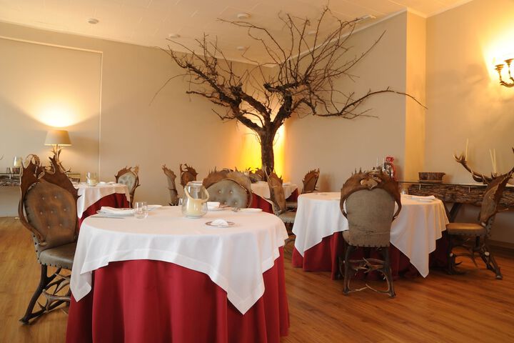 Dining 47 of 62