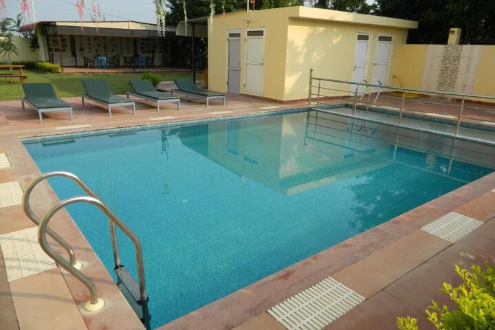 The Ranthambore Samrajya Tiger Seven