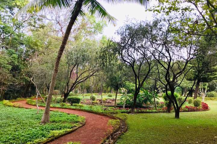 Children's play area - outdoor