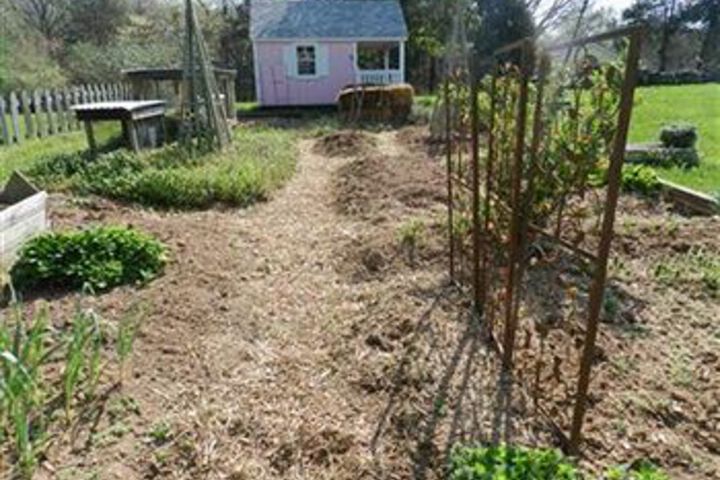 Property Grounds 33 of 38