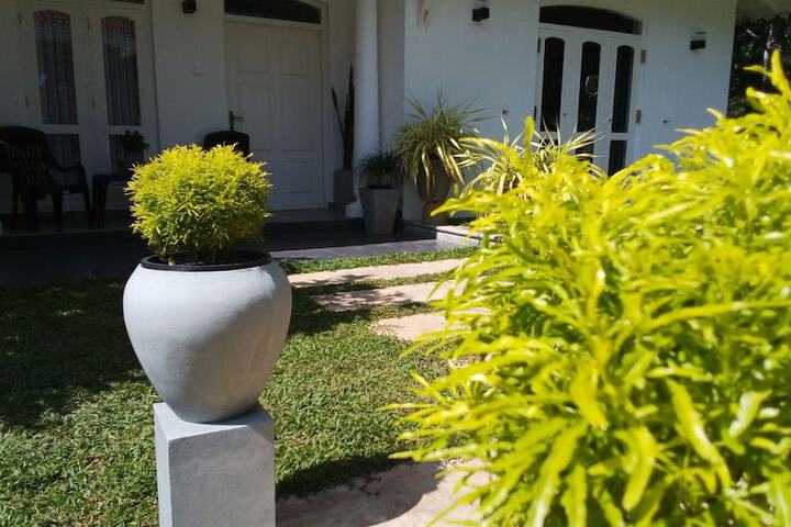 GREEN GRASS GARDEN