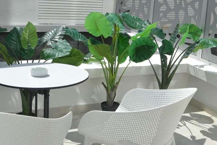 Terrace/Patio 27 of 37
