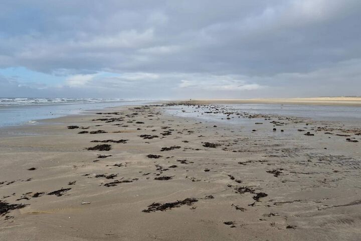 Beach 21 of 29