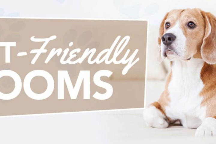 Pet Friendly 34 of 40