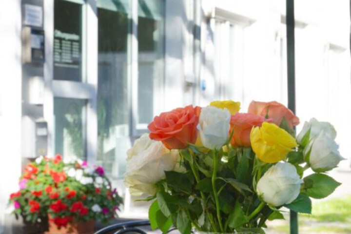 Photo 13