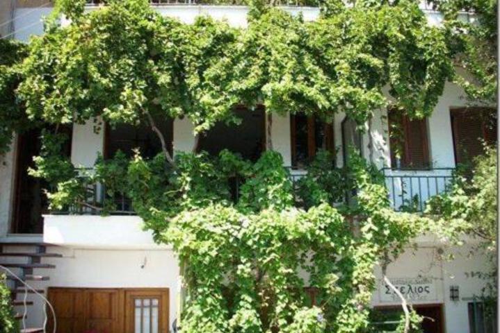 HOTEL STELIOS