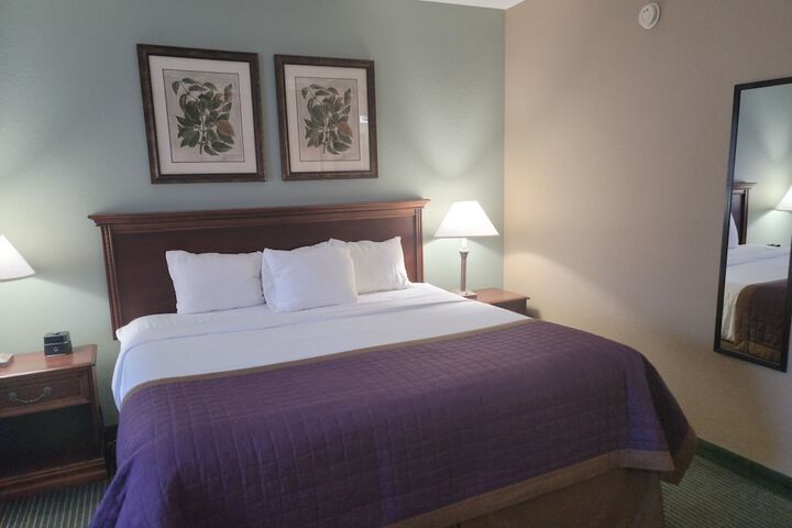 Deluxe King Bed (33 of 39)