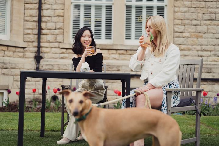 Pet Friendly 55 of 152