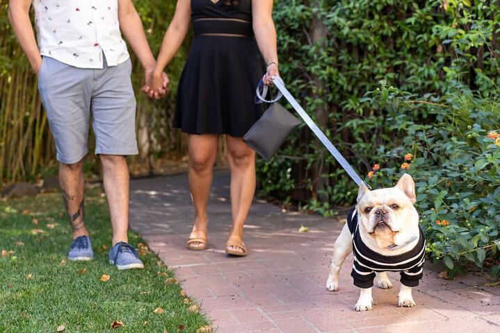 Pet-friendly
