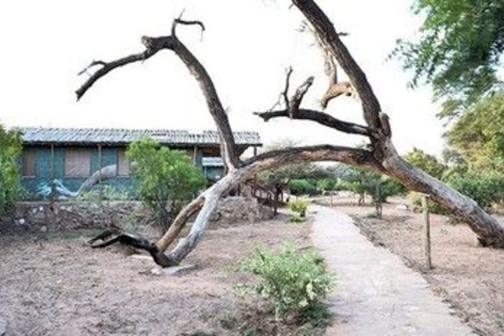 Property Grounds 15 of 26