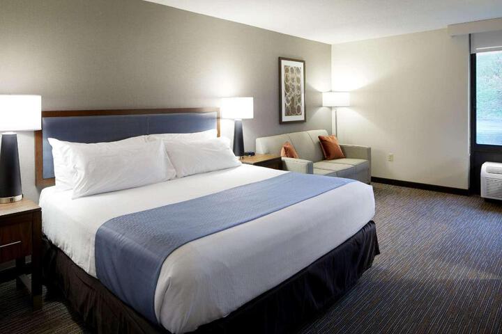 1 King Bed Accessible (5 of 12)